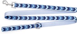 The Worthy Dog Ombre Dog Leash, Blue, Large: 5-ft long, 1-in wide slide 2 of 3
