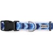 The Worthy Dog Ombre Dog Leash