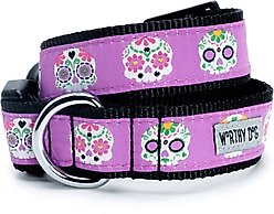 The Worthy Dog Skeletons Dog Collar, Purple, Medium: 11 to 17-in neck, 1-in wide