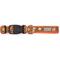 Show in main carousel: The Worthy Dog Pumpkin Spice Dog Collar, Brown, Large: 14 to 20-in neck, 1-in wide slide 2 of 4