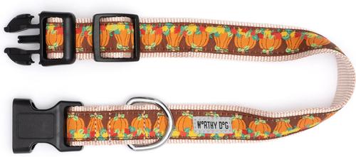 Show full view: The Worthy Dog Pumpkin Patch Dog Collar, Brown, Small: 8 to 14-in neck, 5/8-in wide slide 3 of 3