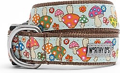The Worthy Dog Mushrooms Dog Collar, Green, Medium: 11 to 17-in neck, 1-in wide