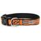 Show in main carousel: The Worthy Dog Halloween Bones Dog Collar, Orange, Large: 14 to 20-in neck, 1-in wide slide 2 of 3