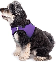 The Worthy Dog Sidekick Dog Harness, Purple, Small: 15 to 18-in chest slide 2 of 3