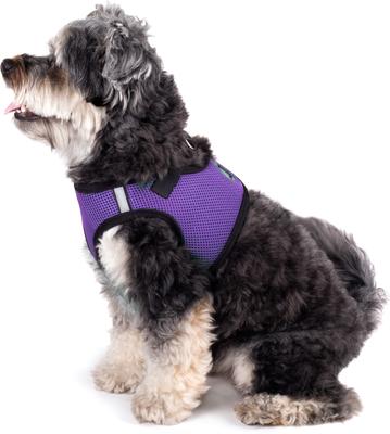 Show full view: The Worthy Dog Sidekick Dog Harness, Purple, XX-Small: 11 to 13-in chest slide 3 of 4