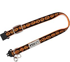 The Worthy Dog Jack-O-Lantern Cat Collar, Black 9 to 11-in neck, 1/2-in wide slide 2 of 3