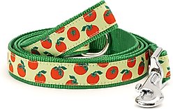 The Worthy Dog Tomatoes Dog Leash, Green, Small: 5-ft long, 5/8-in wide