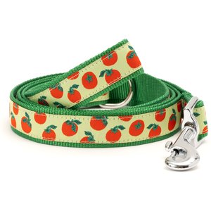 The Worthy Dog Tomatoes Dog Leash, Green, Large: 5-ft long, 1-in wide