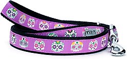 The Worthy Dog Skeletons Dog Leash, Purple, Large: 5-ft long, 1-in wide