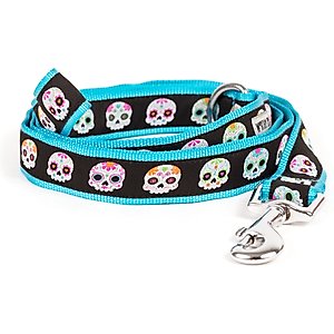 The Worthy Dog Skeletons Dog Leash, Black, Small: 5-ft long, 5/8-in wide