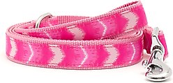 The Worthy Dog Ombre Dog Leash, Pink, Small: 5-ft long, 5/8-in wide
