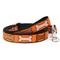 Show in main carousel: The Worthy Dog Halloween Bones Dog Leash, Orange, Large: 5-ft long, 1-in wide slide 1 of 3