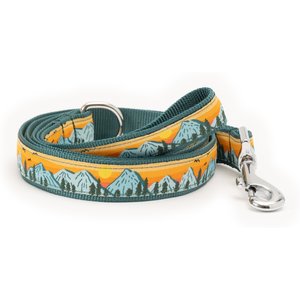 The Worthy Dog Mountain Range Dog Leash, Multicolored, Large: 5-ft long, 1-in wide
