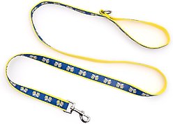 The Worthy Dog Cheers! Dog Leash, Blue, Small: 5-ft long, 5/8-in wide slide 2 of 5