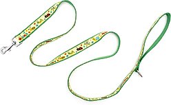 The Worthy Dog Bugs Dog Leash, Green, Large: 5-ft long, 1-in wide slide 2 of 3