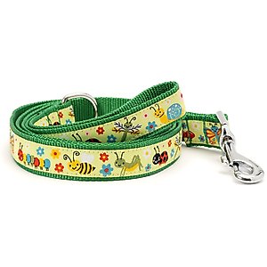 The Worthy Dog Bugs Dog Leash, Green, Small: 5-ft long, 5/8-in wide
