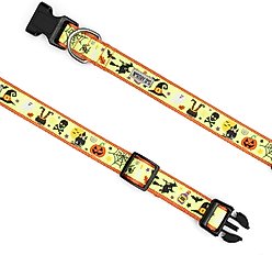 The Worthy Dog Witches Brew Dog Collar, Green, Large: 14 to 20-in neck, 1-in wide slide 2 of 3