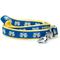 Show in main carousel: The Worthy Dog Cheers! Dog Leash, Blue, Large: 5-ft long, 1-in wide slide 1 of 6