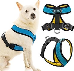 Gooby Comfort X Dual Snap Mesh Dog Harness, Ocean, Medium: 16 to 19.75-in chest