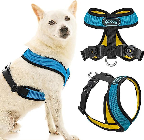 Pet Supplies Chewy Small Dog Harness GOOBY Comfort X Dual Snap