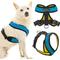 Show in main carousel: Gooby Comfort X Dual Snap Mesh Dog Harness, Ocean, X-Small: 11.25 to 14.25-in chest slide 1 of 8