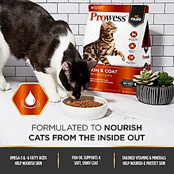 Nulo Prowess Skin & Coat Adult Dry Cat Food, 6-lb bag slide 2 of 9