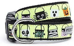 The Worthy Dog Tricks for Treats Dog Collar, Green, Medium: 11 to 17-in neck, 1-in wide