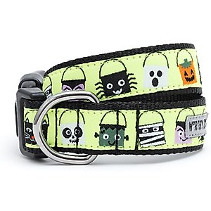 The Worthy Dog Tricks for Treats Dog Collar, Green, X-Small: 5 to 11-in neck, 1/2-in wide