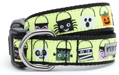 The Worthy Dog Tricks for Treats Dog Collar, Green, Medium: 11 to 17-in neck, 1-in wide