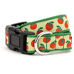 The Worthy Dog Tomatoes Dog Collar, Green, Large: 14 to 20-in neck, 1-in wide