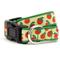Show in main carousel: The Worthy Dog Tomatoes Dog Collar, Green, Large: 14 to 20-in neck, 1-in wide slide 1 of 4