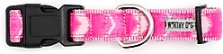 The Worthy Dog Ombre Dog Collar, Pink, Medium: 11 to 17-in neck, 1-in wide slide 2 of 3