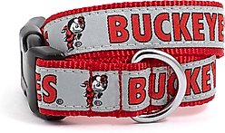 The License House Ohio State Brutus Buckeye Collar, Red, Large: 14 to 20-in neck, 1-in wide
