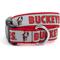 Show in main carousel: The License House Ohio State Brutus Buckeye Collar, Red, Small: 8 to 14-in neck, 5/8-in wide slide 1 of 3