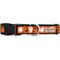 Show in main carousel: The Worthy Dog Spooky Dog Collar, Orange, Medium: 11 to 17-in neck, 1-in wide slide 3 of 3