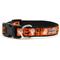 Show in main carousel: The Worthy Dog Spooky Dog Collar, Orange, Medium: 11 to 17-in neck, 1-in wide slide 2 of 3