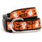 Show in main carousel: The Worthy Dog Spooky Dog Collar, Orange, Medium: 11 to 17-in neck, 1-in wide slide 1 of 3