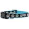 Show in main carousel: The Worthy Dog Skeletons Dog Collar, Black, Large: 14 to 20-in neck, 1-in wide slide 3 of 4