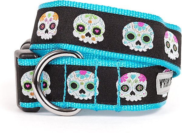 Show full view: The Worthy Dog Skeletons Dog Collar, Black, Small: 8 to 14-in neck, 5/8-in wide slide 1 of 4