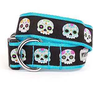 The Worthy Dog Skeletons Dog Collar, Black, Small: 8 to 14-in neck, 5/8-in wide