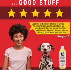 Warren London Soothing & Itch Relieving Oatmeal Dog Shampoo, 1-gal slide 2 of 6