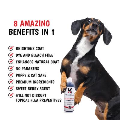 Show full view: Warren London Magic Black Dog Shampoo, 1-gal slide 7 of 9