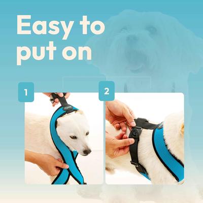 Show full view: Gooby Comfort X Dual Snap Mesh Dog Harness, Ocean, X-Small: 11.25 to 14.25-in chest slide 5 of 8