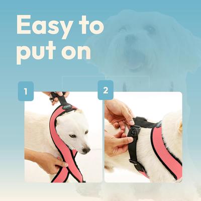 Show full view: Gooby Comfort X Dual Snap Mesh Dog Harness, Watermelon, Medium: 16 to 19.75-in chest slide 6 of 9