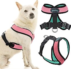 Gooby Comfort X Dual Snap Mesh Dog Harness, Watermelon, Small: 13.5 to 17-in chest