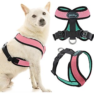 Gooby Comfort X Dual Snap Mesh Dog Harness, Watermelon, Large: 19 to 23.5-in chest