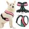 Show in main carousel: Gooby Comfort X Dual Snap Mesh Dog Harness, Watermelon, Medium: 16 to 19.75-in chest slide 1 of 9