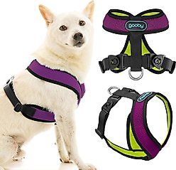 Gooby Comfort X Dual Snap Mesh Dog Harness, Violet, Medium: 16 to 19.75-in chest