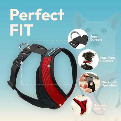 Show full view: Gooby Comfort X Dual Snap Mesh Dog Harness, Rose, Small: 13.5 to 17-in chest slide 4 of 8