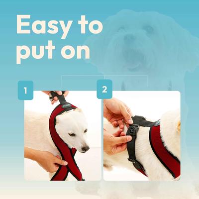 Show full view: Gooby Comfort X Dual Snap Mesh Dog Harness, Rose, Small: 13.5 to 17-in chest slide 5 of 8